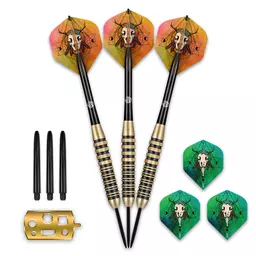 Click here to learn more about the Shot! Darts SHOT TALISMAN STEEL TIP DARTS SET - HIGH PERFORMANCE STEEL.